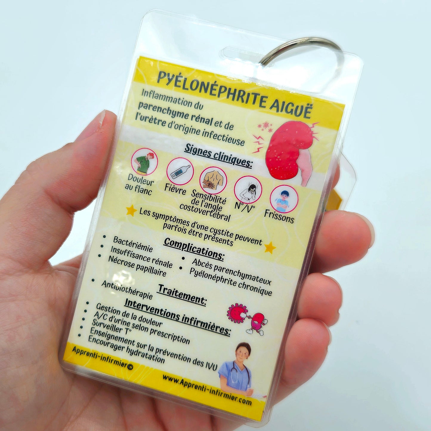 Pathologies du Système urinaire