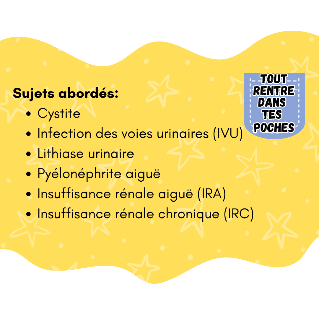 Pathologies du Système urinaire