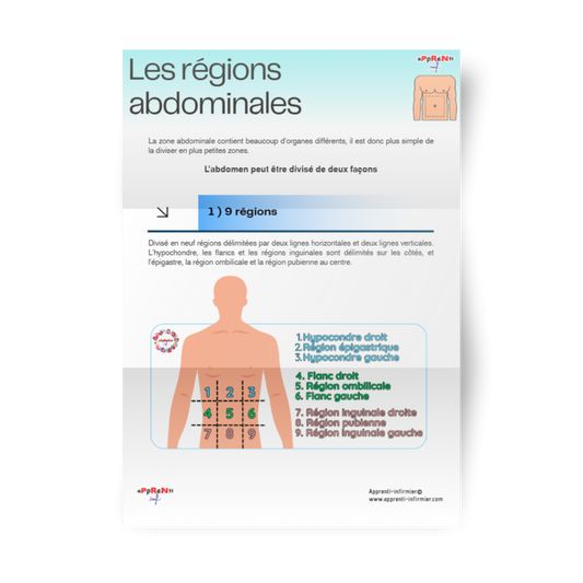 Fiche informative "Les régions abdominales"