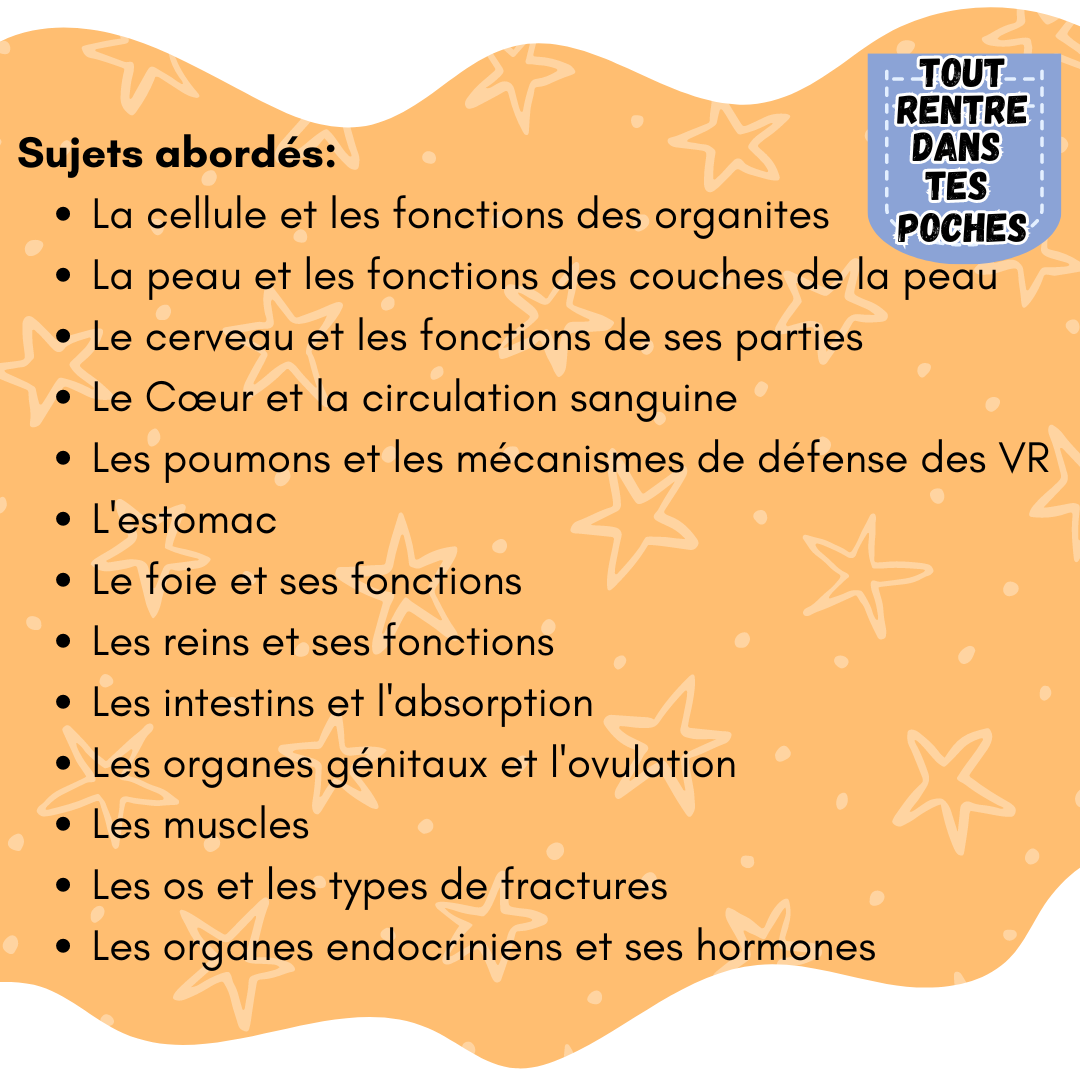 Anatomie